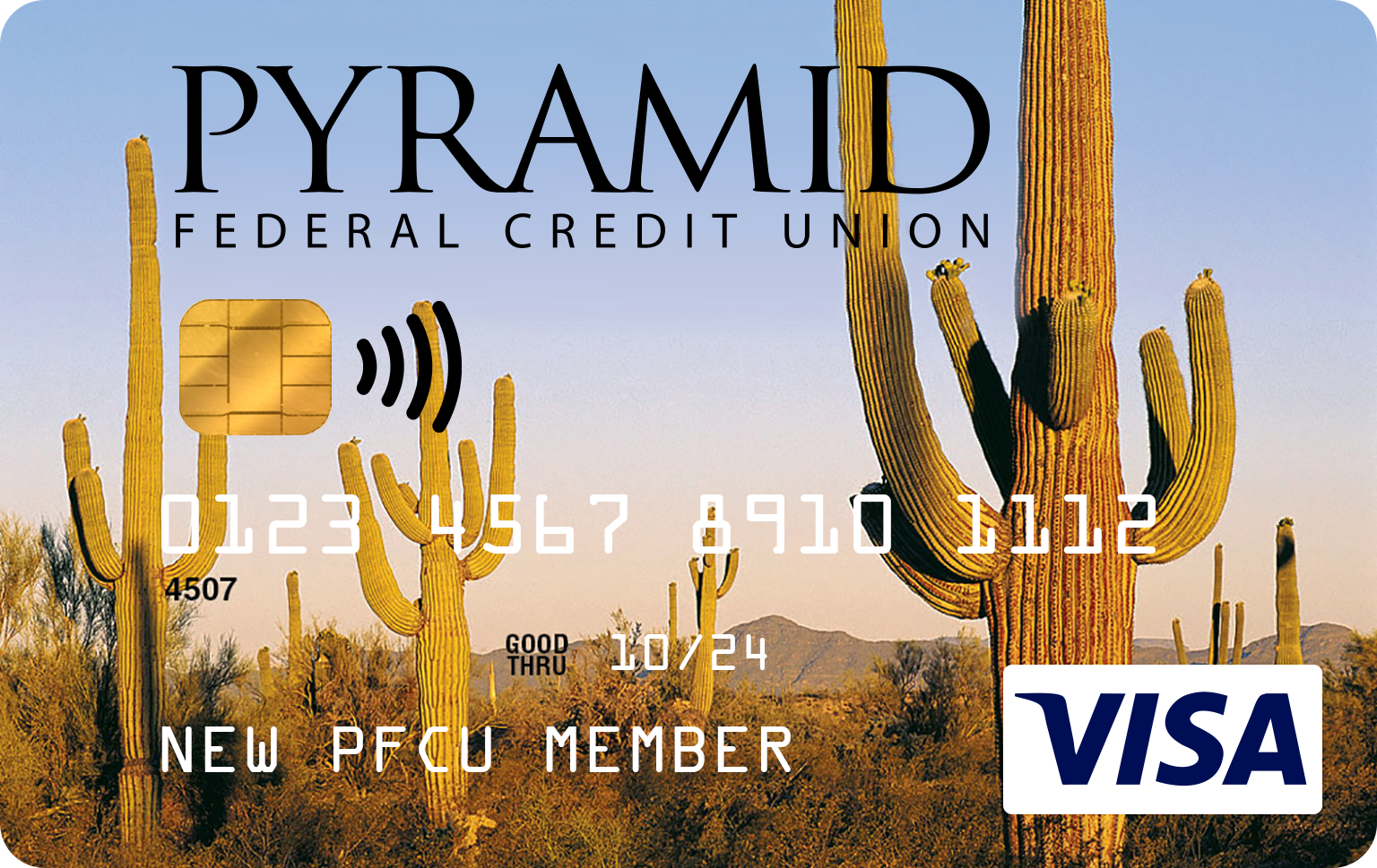 PFCU_Visa_Cactus.png